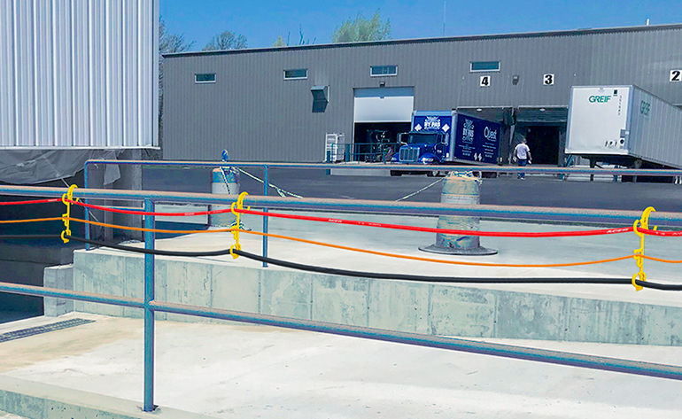 Anchor Multipurpose Hook for Wire Management